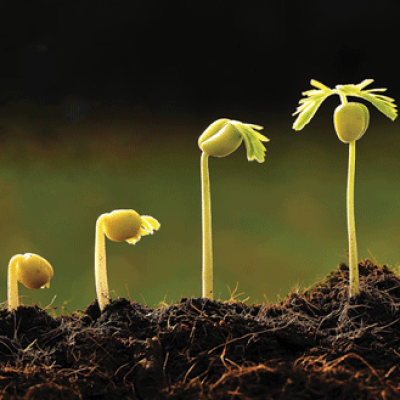 GrowthCapital_cover